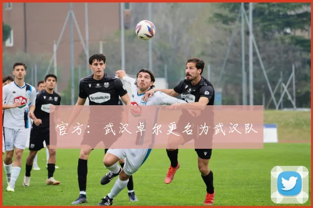 官方：武汉卓尔更名为武汉队