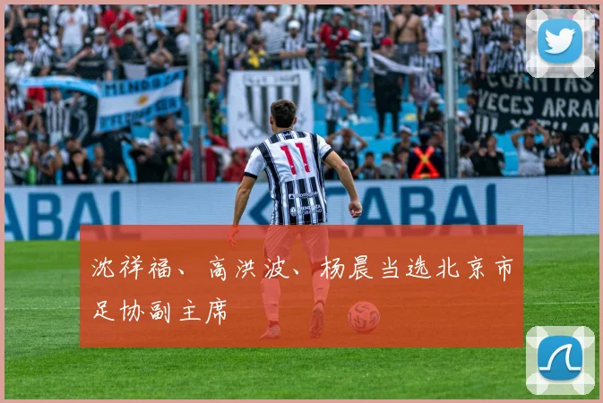 沈祥福、高洪波、杨晨当选北京市足协副主席