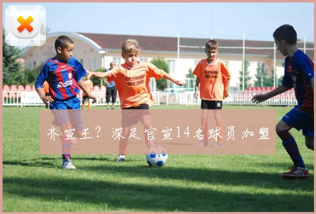 齐宣王？深足官宣14名球员加盟