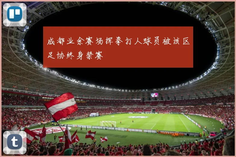 成都业余赛场挥拳打人球员被该区足协终身禁赛