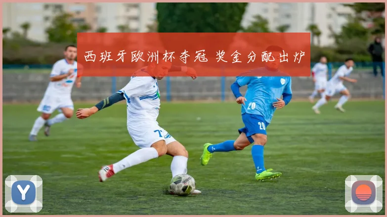 西班牙欧洲杯夺冠 奖金分配出炉