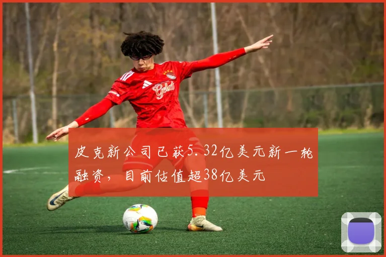 皮克新公司已获5.32亿美元新一轮融资，目前估值超38亿美元