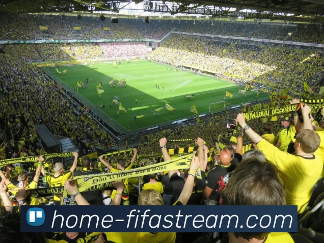 世界杯直播网站服务体系